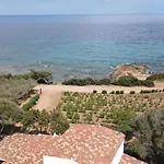 La Pavoncella 1