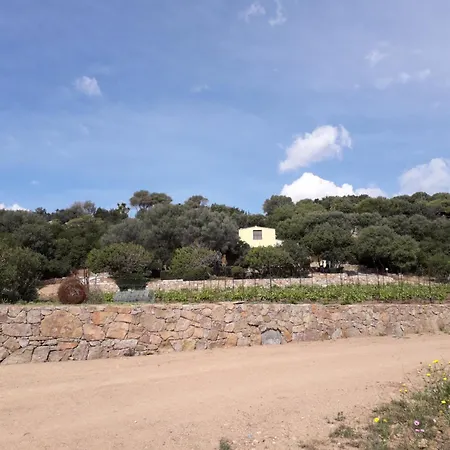 Holiday home La Pavoncella 1