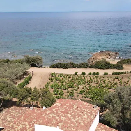 La Pavoncella 1
